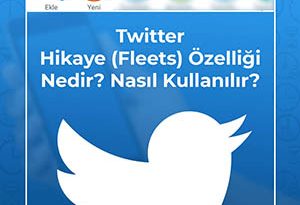 twitter fleet