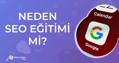 seo eğitimi